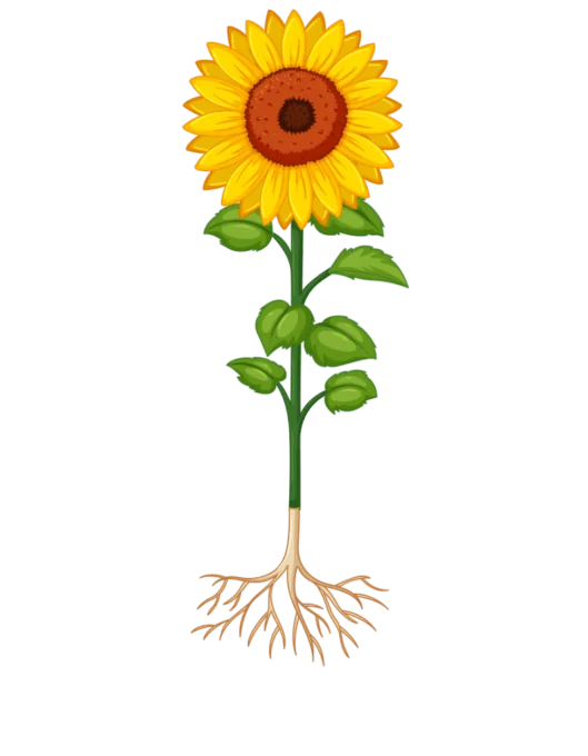 Arbeitsweise Abgabe / Betreuung