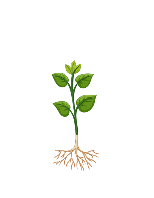 Arbeitsweise Angebot / Meeting